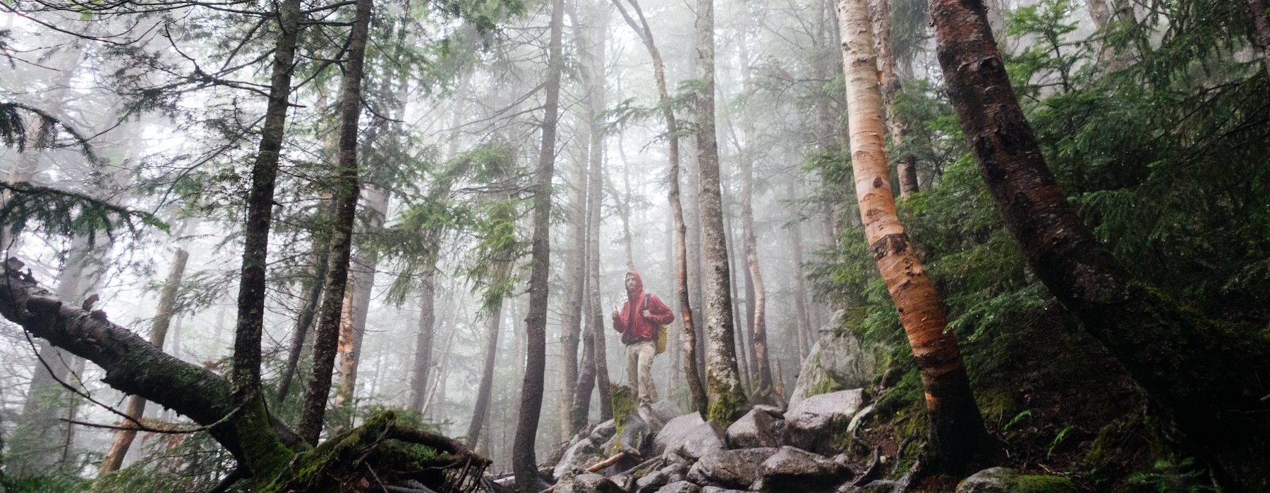 Man hiking in a hazey forest 